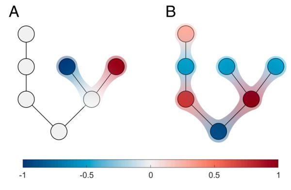 Comparison between localized and delocalized eigenvectors. The eigenvector on the left "lives" only on two network nodes. Hence the loss of stability that it causes does not depend on the rest of the network, but originates in a small motif. But most eigenvectors are delocalized such as the one on the right (colors indicate eigenvector elements). 