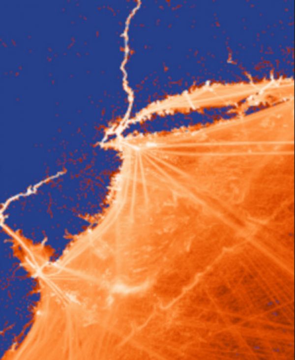Density of ship position reports. These traces of ship locations create a new perspective, the ocean is not defined by the absence of land, rather land is defined by the absence of ships. 