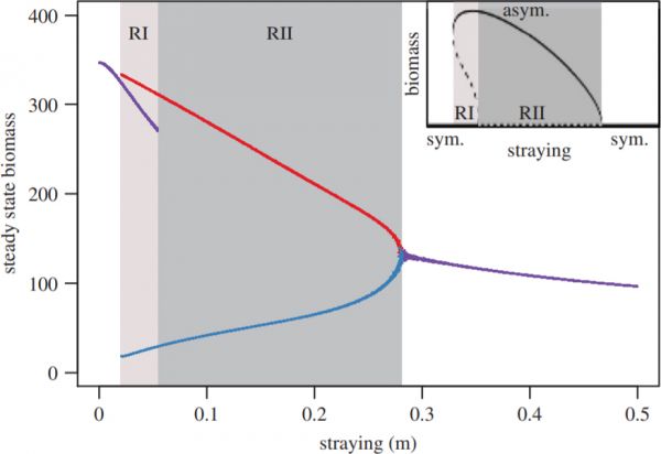 The steady-state densities of \(N_i\) and \(N_j\) versus straying m for the constant straying model. Alternative stable states exist for regimes I and II, labelled RI and RII, respectively. In regime I, the system can approach qualitatively different states: a symmetric, intermediate state ( purple), and asymmetric dominant (red) and subordinate (blue) states. In regime II, only one type of attractor exists: an asymmetric dominant/subordinate state (red and blue points, respectively), and its mirror image where identities of dominant and subordinate are exchanged. Inset: a qualitative sketch of the bifurcation diagram, showing the stable (solid lines) and unstable (dashed lines) fixed points in regimes I (light grey area) and II (dark grey area). The symmetric condition (sym.) is the horizontal line at the base of the inset, whereas the asymmetric condition (asym.) is represented by the curved line.