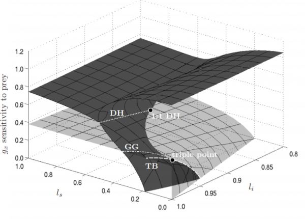 Bifurcation diagram of the generalized eco-epidemic model. A surface of Hopf bifurcations (dark) and a surface of
saddle-node type bifurcations (transparent bright) are shown. The intersection lines are a Takens-Bogdanov bifurcation line (TB), a Gavrilov-Guckenheimer bifurcation line (GG), and a double-Hopf bifurcation line (DH). The double-Hopf bifurcation line ends in a 1:1 resonant double-Hopf bifurcation point (1:1 DH) and the Gavrilov-Guckenheimer bifurcation line ends in a triple point bifurcation at the Takens-Bogdanov line. The bifurcation parameters are the generalized parameters \(g_x\), \(l_s\) and \(l_i\) , which are strongly related to the functional form of the underlying processes, namely the per capita functional response \(g(x)\) and the incidence function \(l(y_s, y_i)\) respectively. 