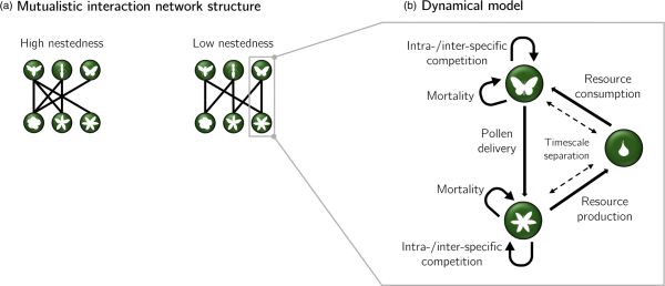 Structure of the model.