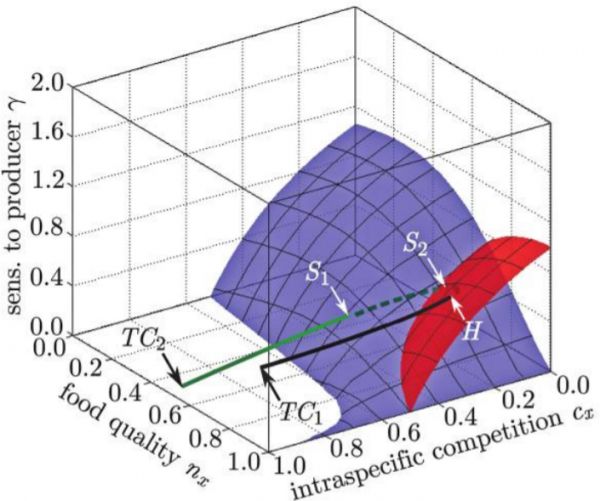 Bifurcation surfaces from a generalized model help to understand why several conventional models of the producer-grazer system provide seemingly disparate predictions. 