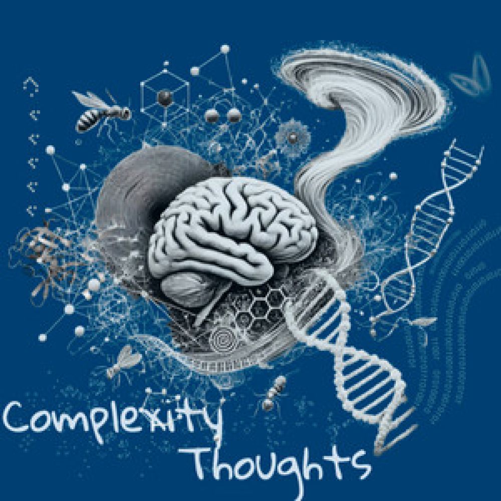Media image 1: Complexity Thoughts 